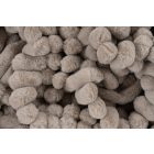 Plush 500 taupe takaró 150x200 cm